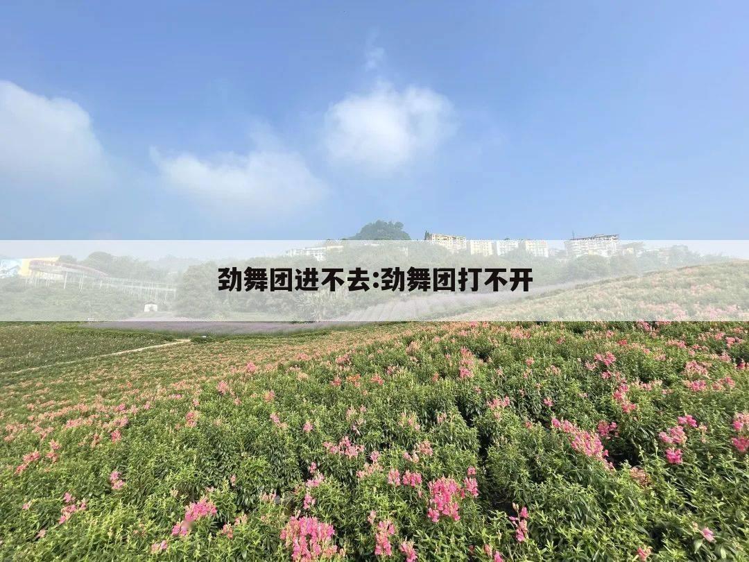 劲舞团进不去:劲舞团打不开