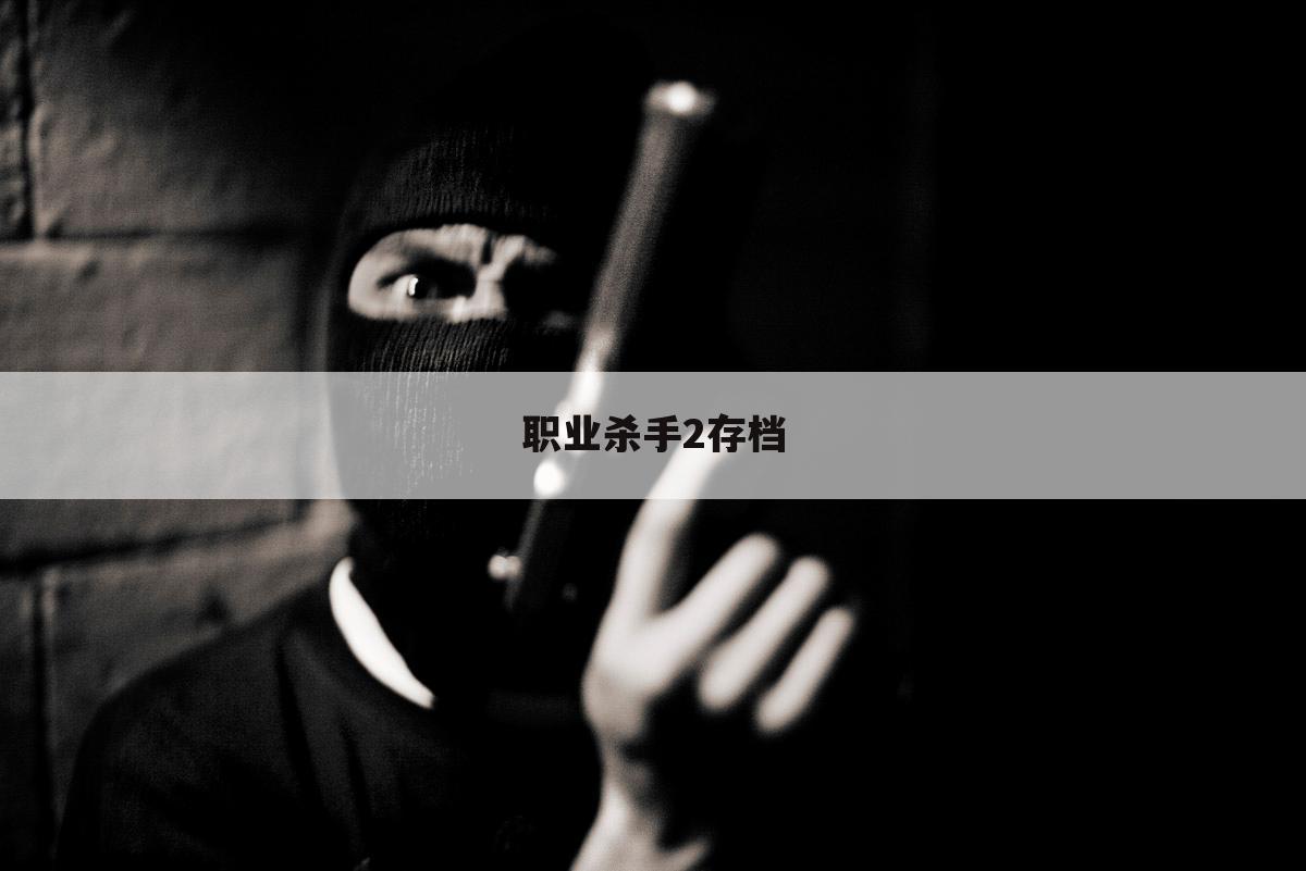 职业杀手2存档