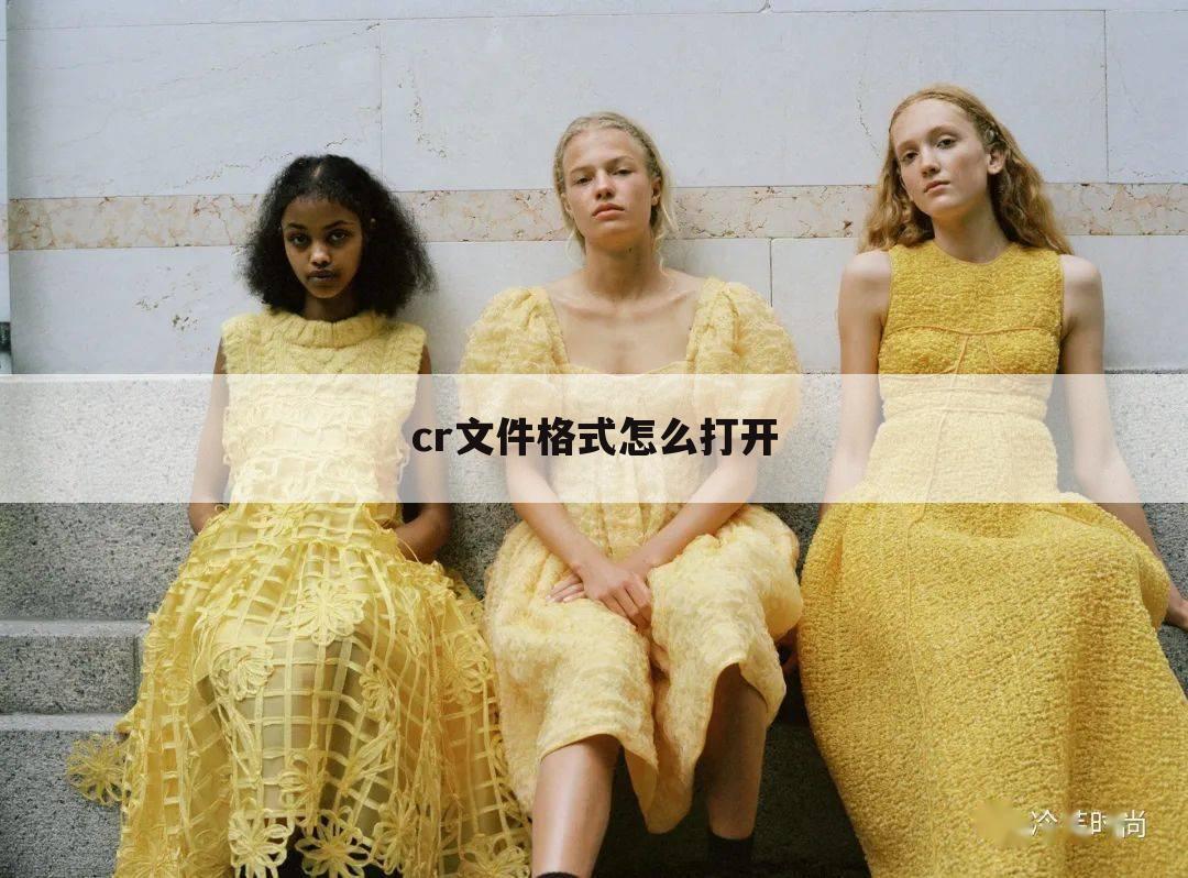 cr文件格式怎么打开