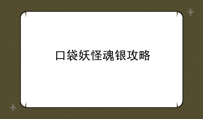 口袋妖怪魂银攻略