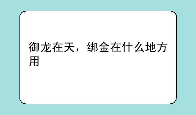 御龙在天，绑金在什么地方用