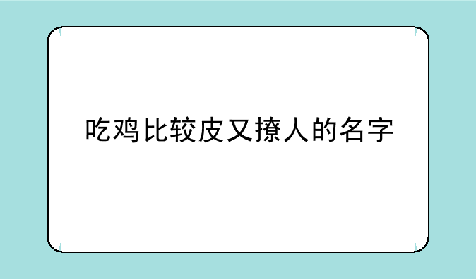 吃鸡比较皮又撩人的名字
