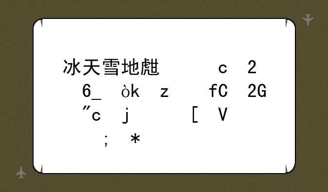 冰天雪地生存指南：极限挑战的策略与技巧